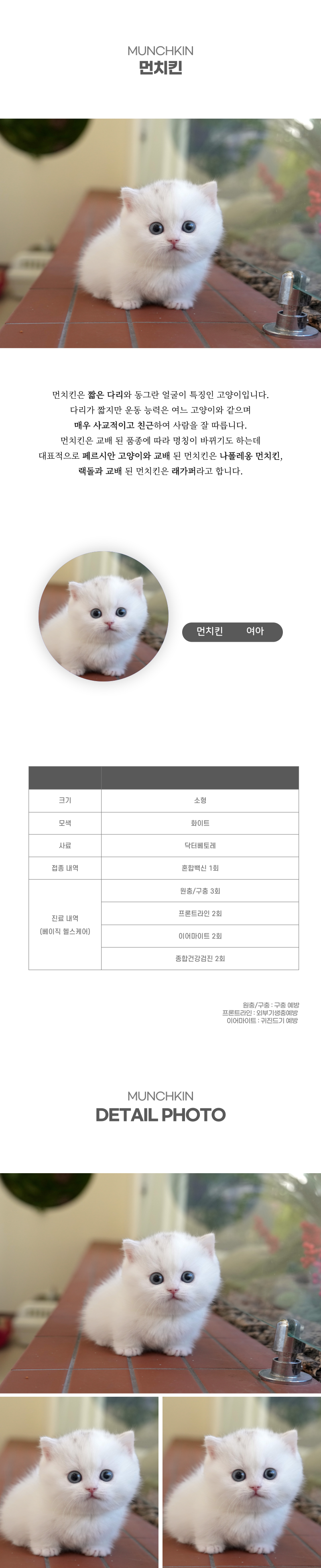 먼치킨_상세이미지_2